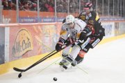 BERN - FRIBOURG