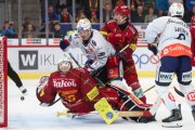 TIGERS - ZSC