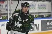 OLTEN - GCK LIONS
