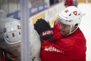 TRAINING SCHWEIZ