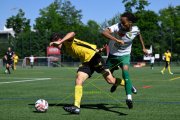 YB - KRIENS