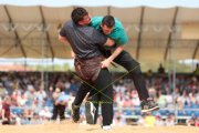 118. NORDWESTSCHWEIZER SCHWINGFEST
