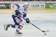 TIGERS - ZSC