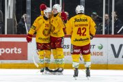 LAUSANNE - TIGERS