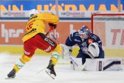 ZSC - TIGERS