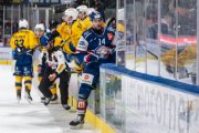 ZSC - DAVOS