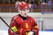 AMBRI - TIGERS