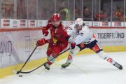 TIGERS - ZSC