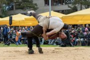 BASELSTAEDTISCHER SCHWINGERTAG