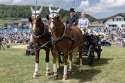 SOLOTHURNER KANTONAL SCHWINGFEST