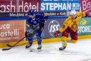 FRIBOURG - TIGERS
