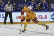 ZUG - TIGERS