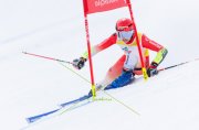 EUROPA CUP SPEED FINAL SAALBACH 2026