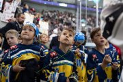 FIALA ALLSTARS - ZSC