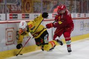 TIGERS - BERN
