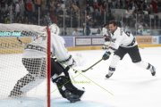 FIALA ALLSTARS - ZSC