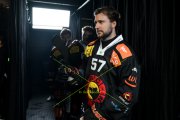 BERN - TIGERS