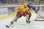 DAVOS - TIGERS