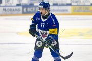 FRIBOURG - TIGERS