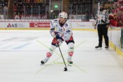 TIGERS - ZSC