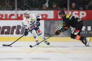 BERN - AMBRI