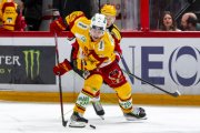 LAUSANNE - TIGERS