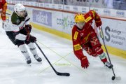TIGERS - LAUSANNE