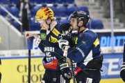 AMBRI - TIGERS