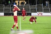 BELLINZONA - WIL