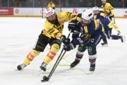 AMBRI - BERN