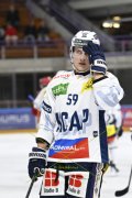 AMBRI - TIGERS