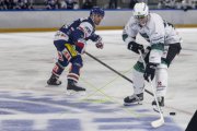 GCK LIONS - OLTEN