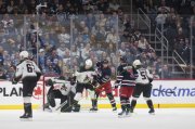 WINNIPEG - ARIZONA