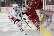 TIGERS - ZSC