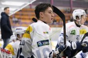 AMBRI - TIGERS
