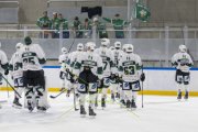 GCK LIONS - OLTEN