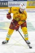 FRIBOURG - TIGERS