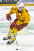 FRIBOURG - TIGERS