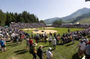 SCHWARZSEE SCHWINGET