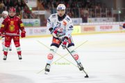 TIGERS - ZSC