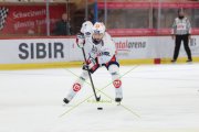 TIGERS - ZSC