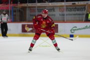TIGERS - LAUSANNE