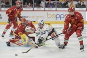TIGERS - AMBRI