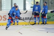 TRAINING ZSC