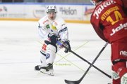 AMBRI - TIGERS
