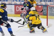 AMBRI - AJOIE