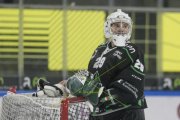 OLTEN - GCK LIONS