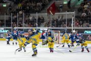 FIALA ALLSTARS - ZSC