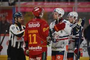 TIGERS - ZSC