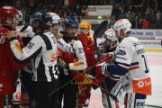TIGERS - ZSC